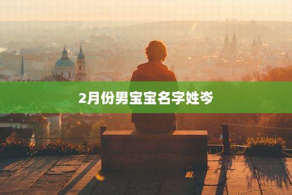 2月份男宝宝名字姓岑