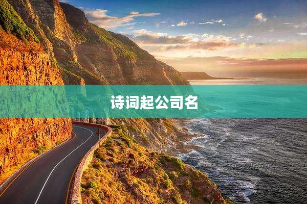 诗词起公司名