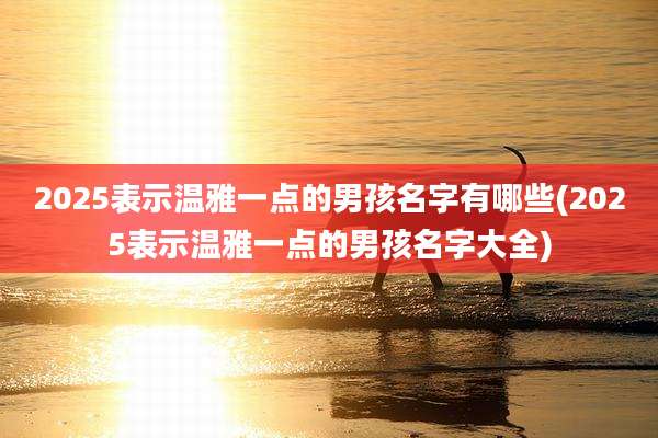 2025表示温雅一点的男孩名字有哪些(2025表示温雅一点的男孩名字大全)
