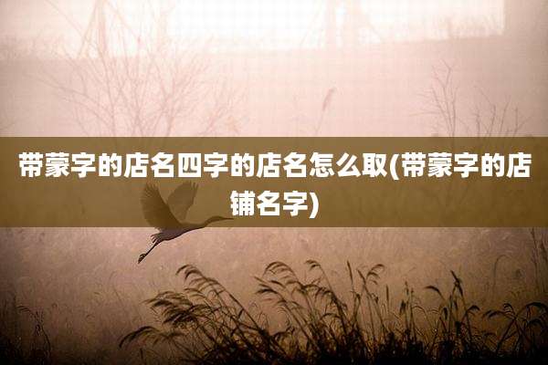 带蒙字的店名四字的店名怎么取(带蒙字的店铺名字)