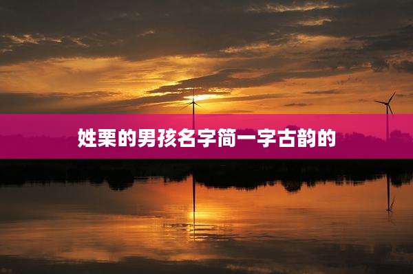姓栗的男孩名字简一字古韵的