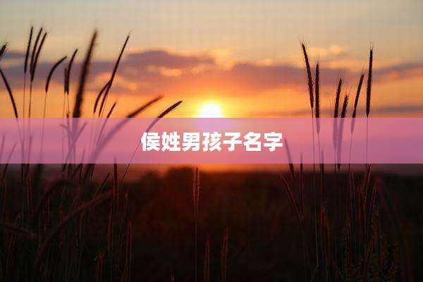 侯姓男孩子名字