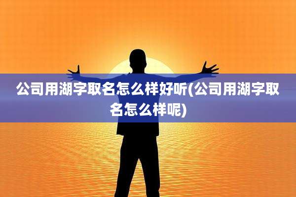 公司用湖字取名怎么样好听(公司用湖字取名怎么样呢)