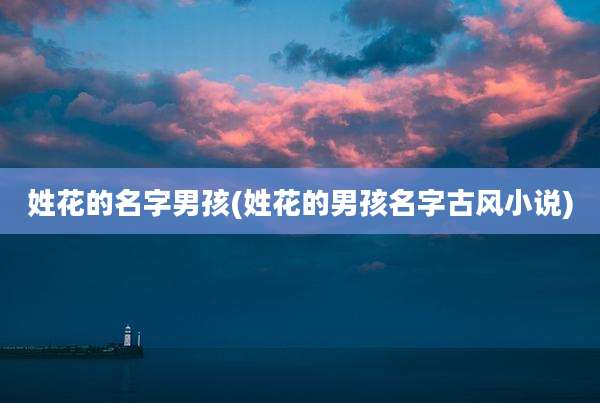 姓花的名字男孩(姓花的男孩名字古风小说)