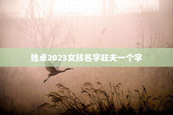 姓卓2023女孩名字旺夫一个字