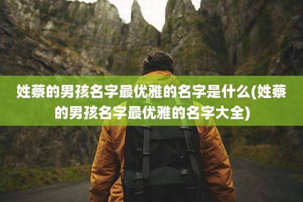 姓蔡的男孩名字最优雅的名字是什么(姓蔡的男孩名字最优雅的名字大全)