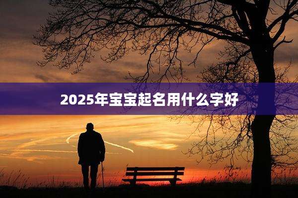 2025年宝宝起名用什么字好