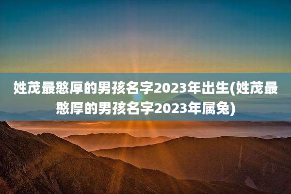 姓茂最憨厚的男孩名字2023年出生(姓茂最憨厚的男孩名字2023年属兔)