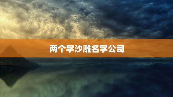 两个字沙雕名字公司