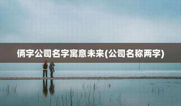 俩字公司名字寓意未来(公司名称两字)