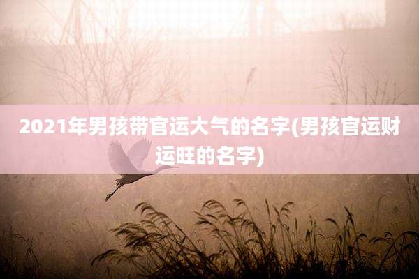 2021年男孩带官运大气的名字(男孩官运财运旺的名字)