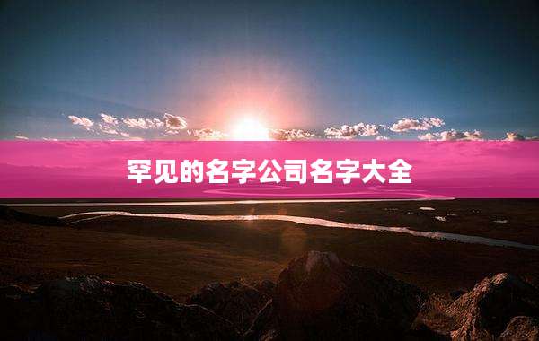 罕见的名字公司名字大全