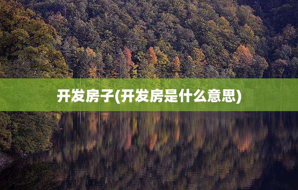 开发房子(开发房是什么意思)