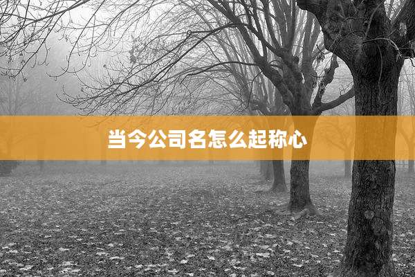 当今公司名怎么起称心