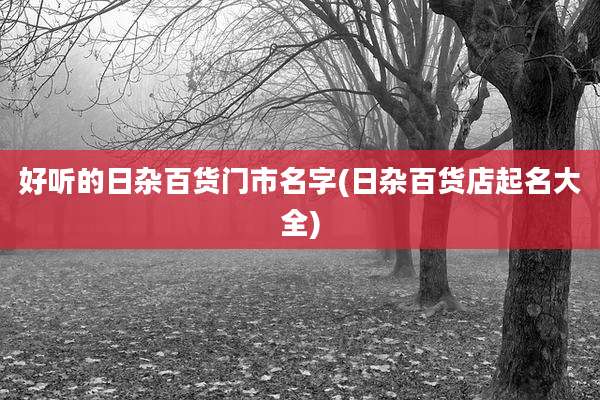 好听的日杂百货门市名字(日杂百货店起名大全)