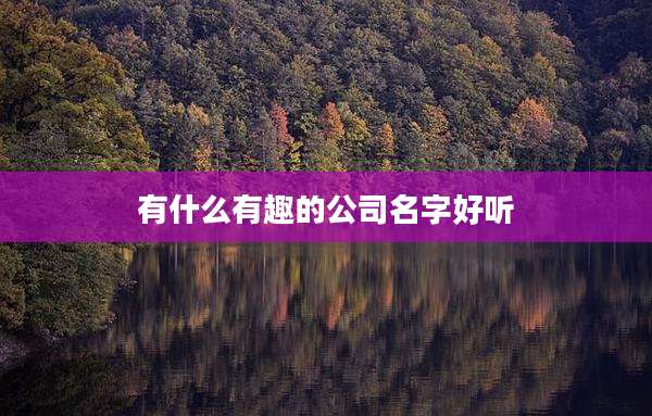有什么有趣的公司名字好听