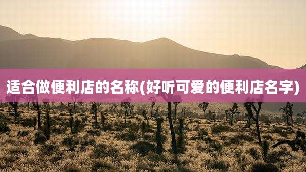 适合做便利店的名称(好听可爱的便利店名字)