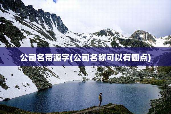 公司名带源字(公司名称可以有圆点)