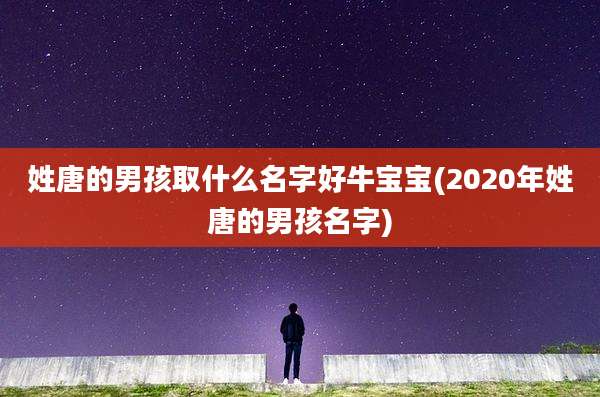 姓唐的男孩取什么名字好牛宝宝(2020年姓唐的男孩名字)