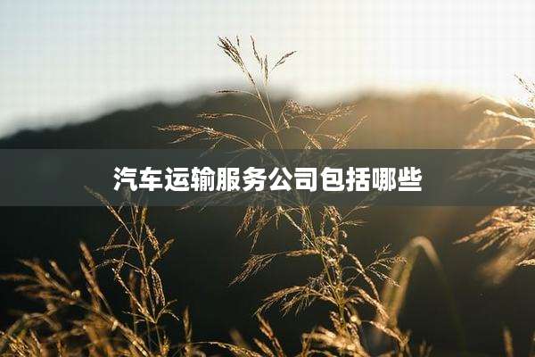 汽车运输服务公司包括哪些