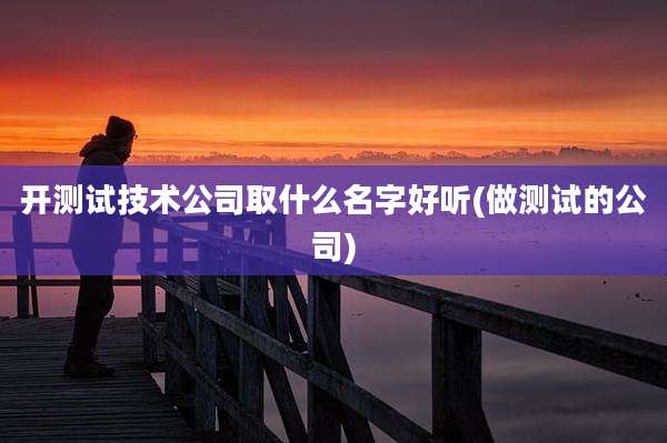 开测试技术公司取什么名字好听(做测试的公司)