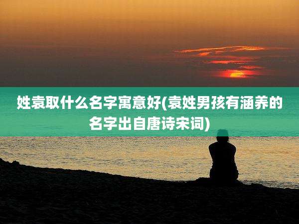 姓袁取什么名字寓意好(袁姓男孩有涵养的名字出自唐诗宋词)
