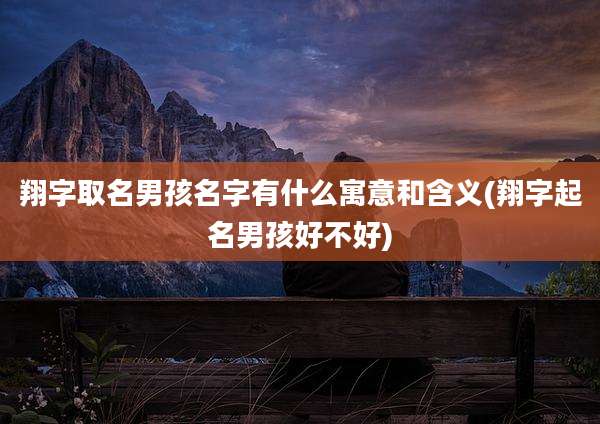 翔字取名男孩名字有什么寓意和含义(翔字起名男孩好不好)