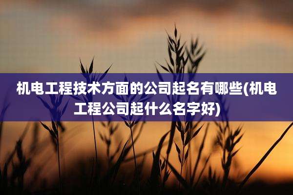机电工程技术方面的公司起名有哪些(机电工程公司起什么名字好)