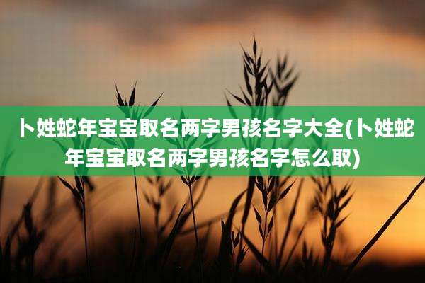 卜姓蛇年宝宝取名两字男孩名字大全(卜姓蛇年宝宝取名两字男孩名字怎么取)