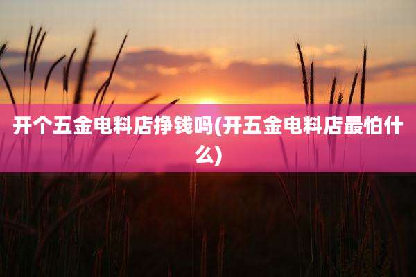 开个五金电料店挣钱吗(开五金电料店最怕什么)
