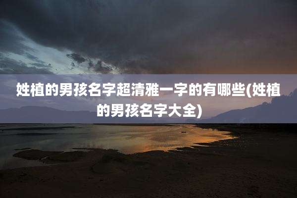 姓植的男孩名字超清雅一字的有哪些(姓植的男孩名字大全)