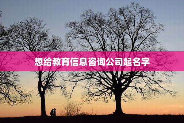 想给教育信息咨询公司起名字