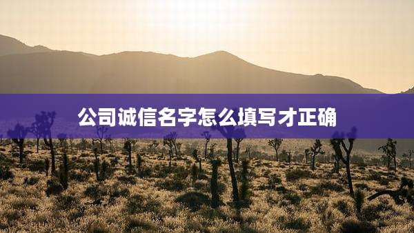 公司诚信名字怎么填写才正确