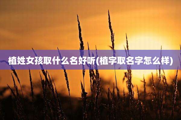 植姓女孩取什么名好听(植字取名字怎么样)