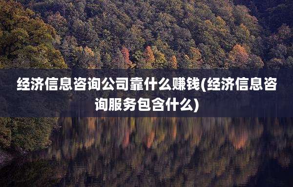 经济信息咨询公司靠什么赚钱(经济信息咨询服务包含什么)