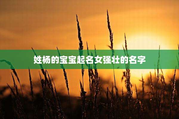 姓杨的宝宝起名女强壮的名字