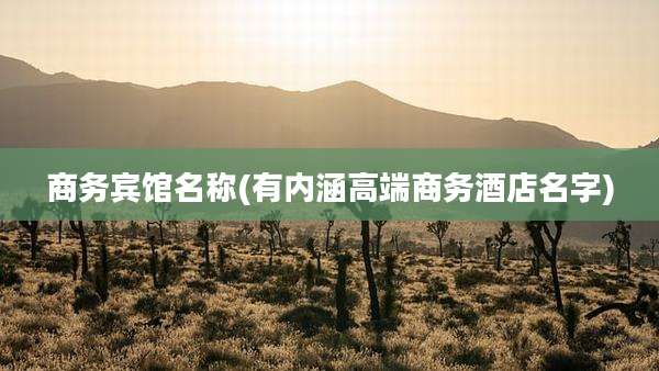 商务宾馆名称(有内涵高端商务酒店名字)