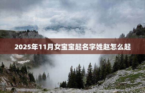 2025年11月女宝宝起名字姓赵怎么起