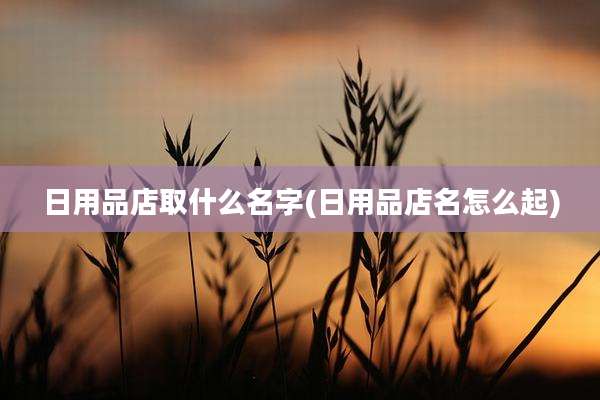 日用品店取什么名字(日用品店名怎么起)
