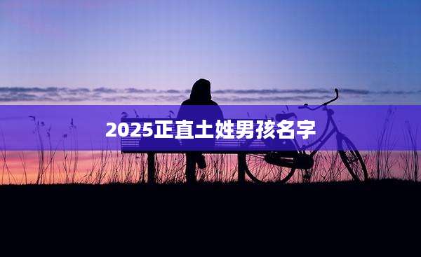 2025正直土姓男孩名字