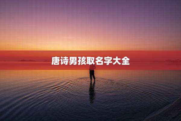 唐诗男孩取名字大全