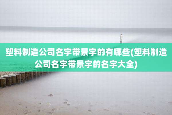 塑料制造公司名字带景字的有哪些(塑料制造公司名字带景字的名字大全)