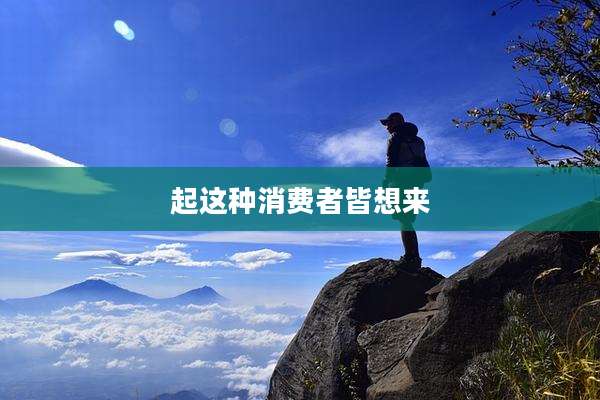 起这种消费者皆想来