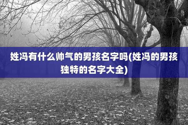 姓冯有什么帅气的男孩名字吗(姓冯的男孩独特的名字大全)