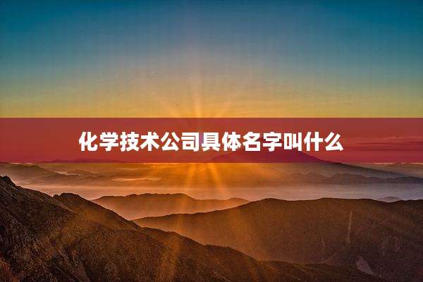 化学技术公司具体名字叫什么
