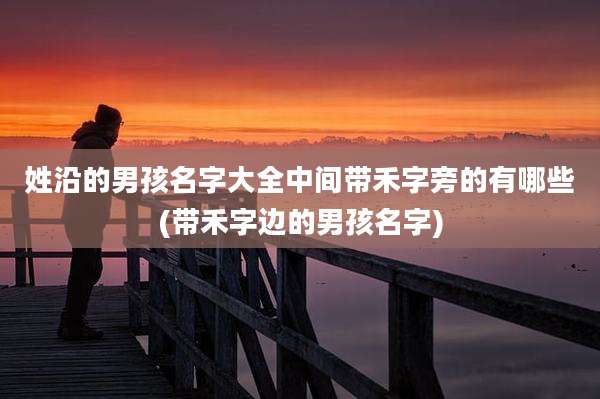 姓沿的男孩名字大全中间带禾字旁的有哪些(带禾字边的男孩名字)