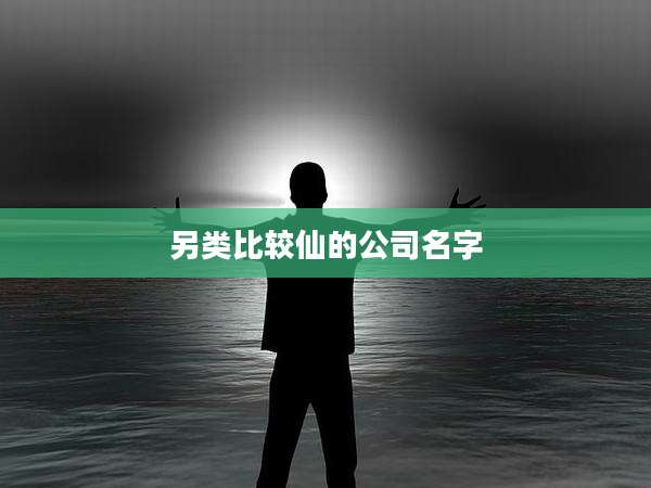 另类比较仙的公司名字