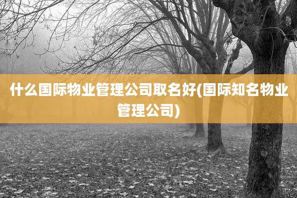 什么国际物业管理公司取名好(国际知名物业管理公司)