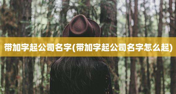 带加字起公司名字(带加字起公司名字怎么起)