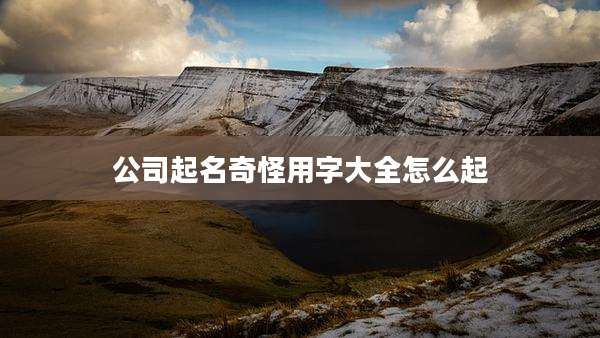 公司起名奇怪用字大全怎么起